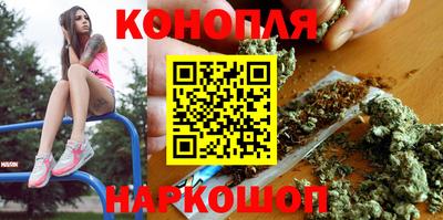 сатива Будённовск