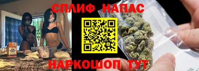 сатива Будённовск