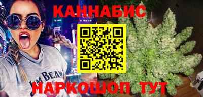 сатива Будённовск
