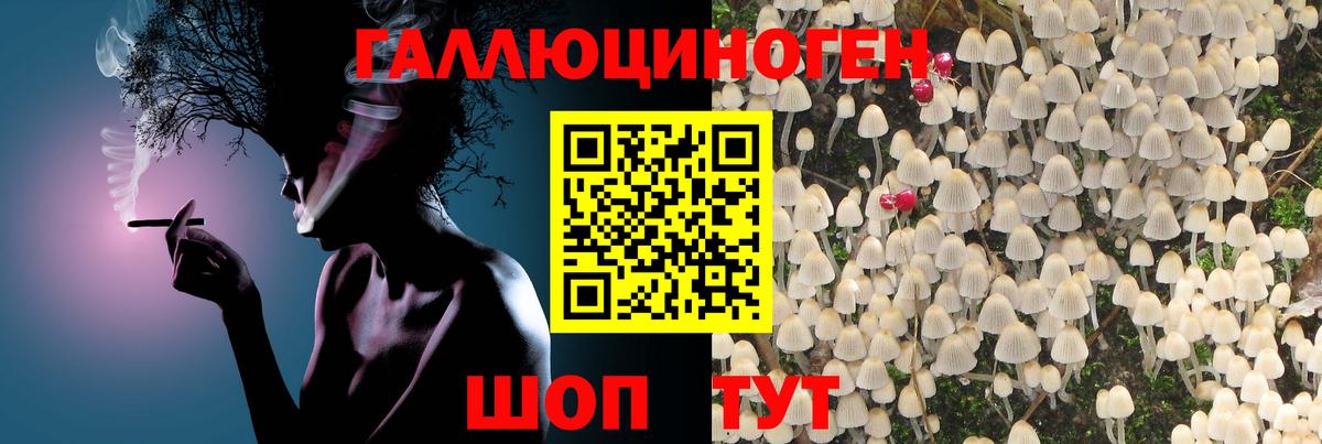 Псилоцибиновые грибы мицелий Люберцы