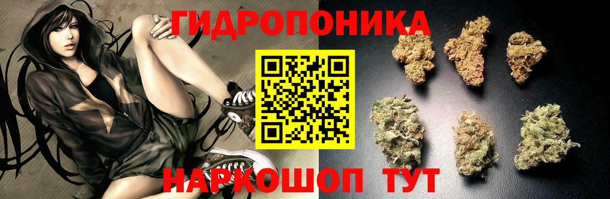 Люберцы  МАРИХУАНА SATIVA & INDICA  Марихуана план  Вход с VPN  Конопля планчик  Бошки марихуана план 